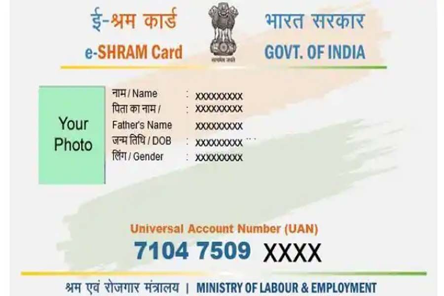 E Shram Card Download |PDF| by Mobile Number/ Aadhar Check Process